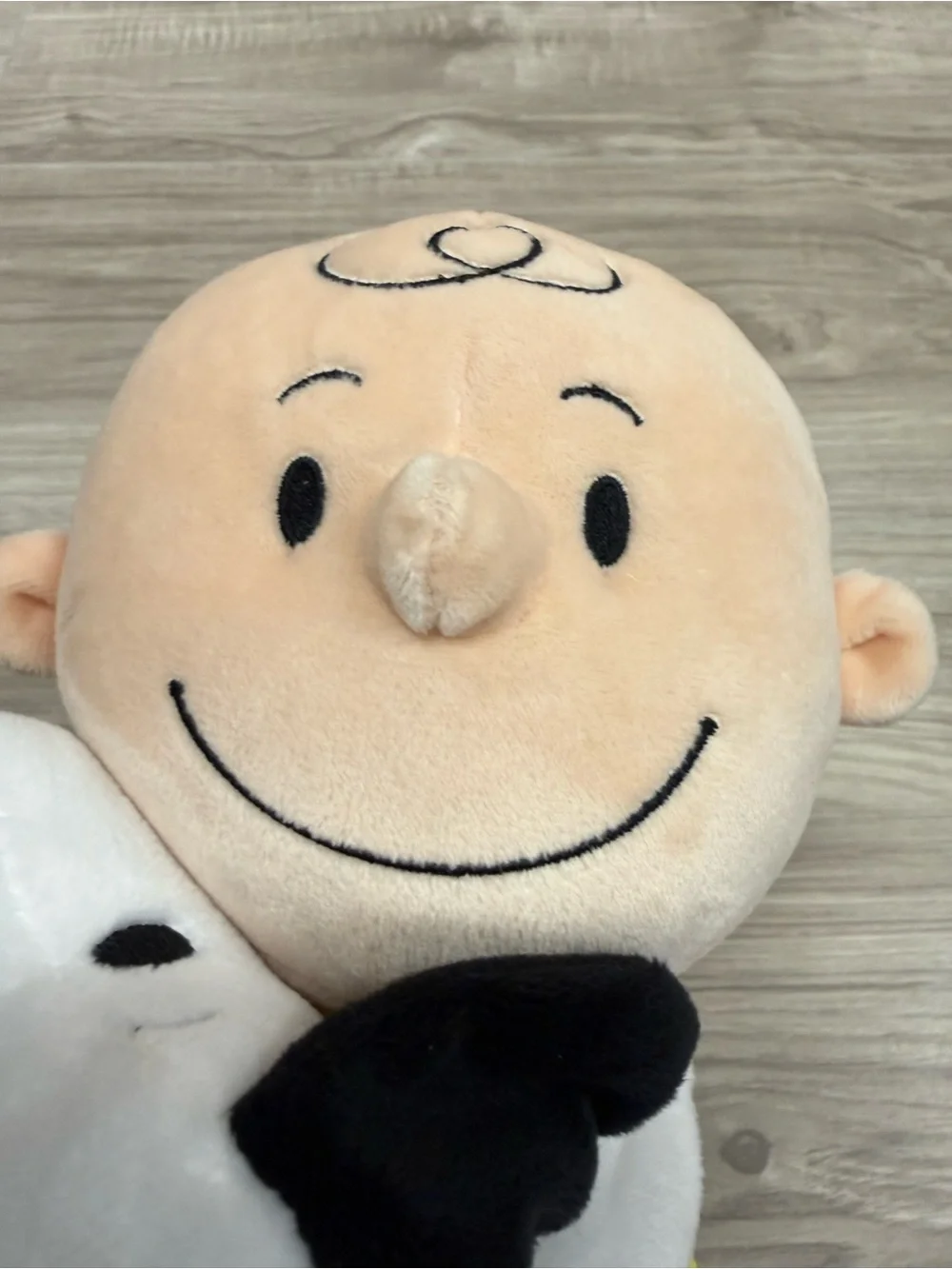 Hallmark Peanuts Snoopy And Charlie Brown Plush